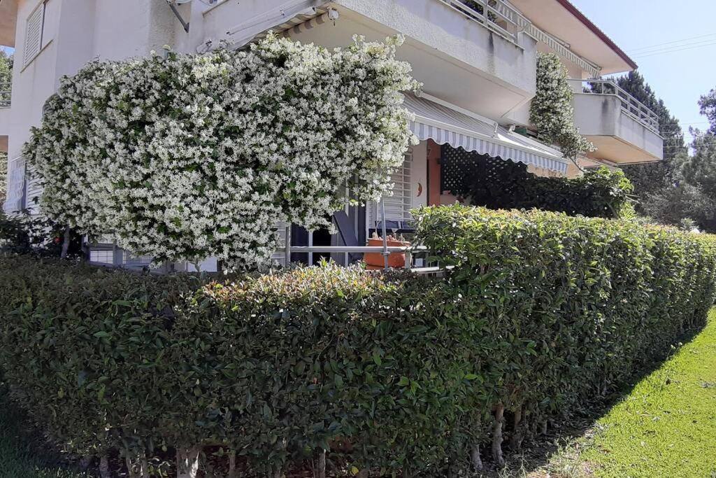 Kleo House Kalives Polygyros Halkidiki Villa Kalyves Polygyrou Eksteriør billede